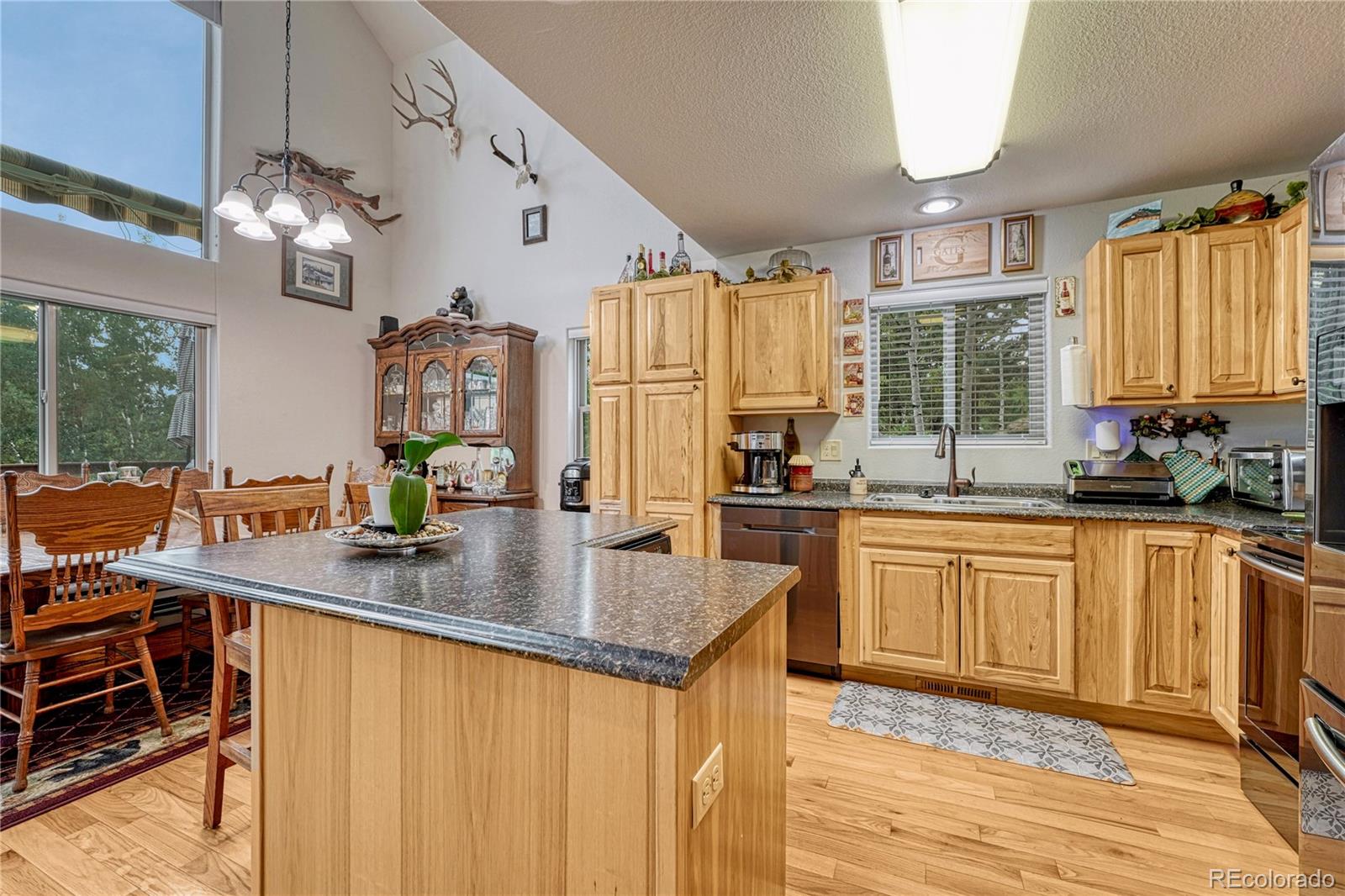 MLS Image #9 for 744  whale drive,lake george, Colorado