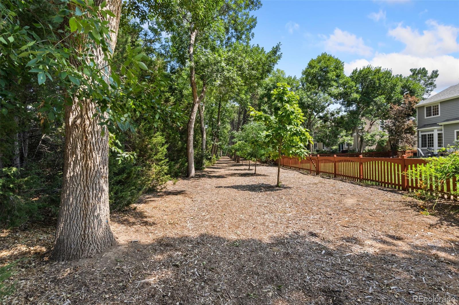 MLS Image #38 for 3202  grand teton place,fort collins, Colorado