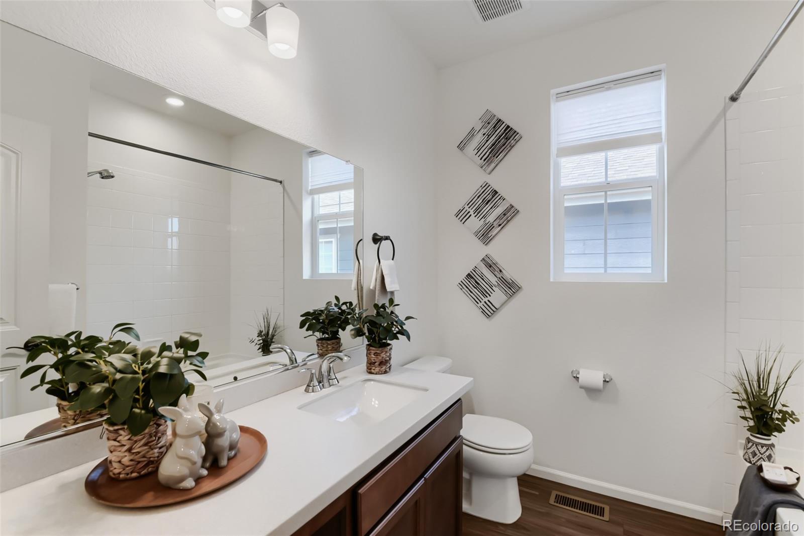 MLS Image #21 for 3342  bluestem street,dacono, Colorado