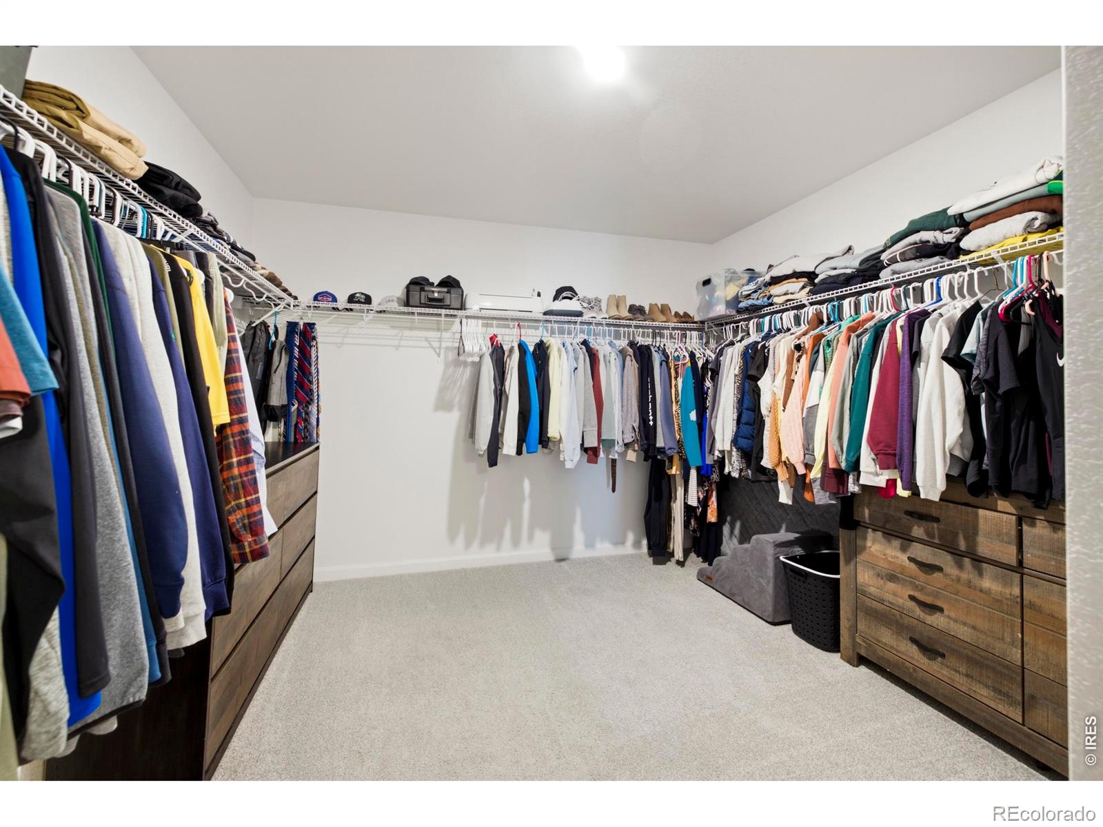 MLS Image #17 for 965  sandhills street,windsor, Colorado