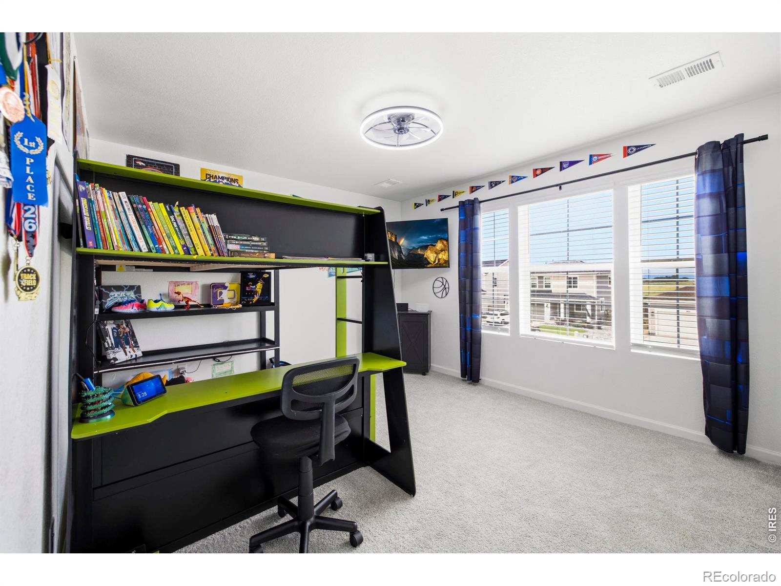 MLS Image #20 for 965  sandhills street,windsor, Colorado