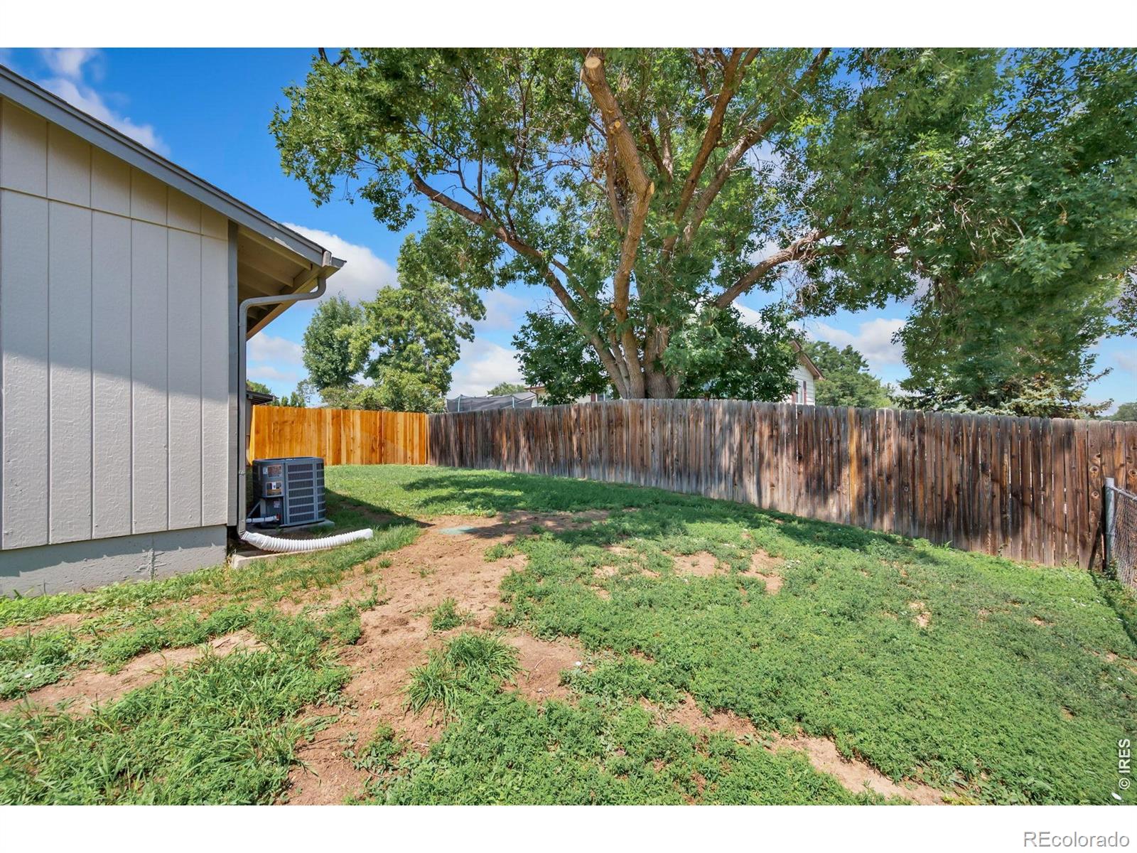 MLS Image #25 for 1609  ranae drive,loveland, Colorado