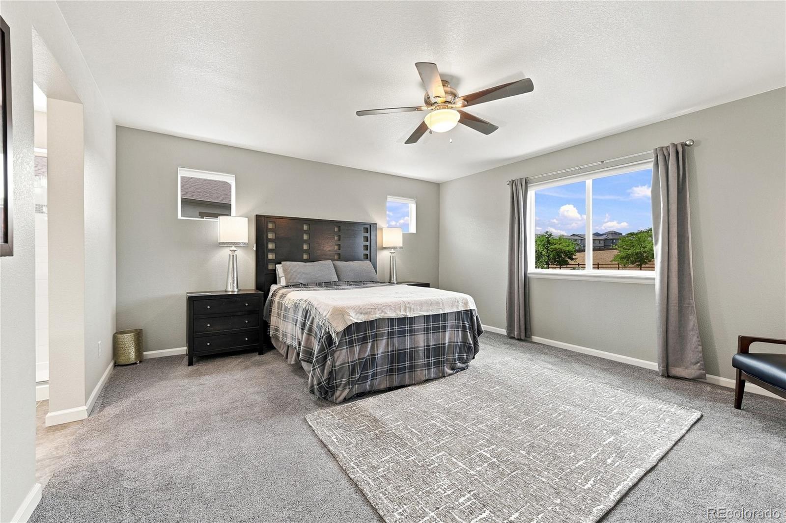 MLS Image #28 for 1220  mcmurdo circle,castle rock, Colorado