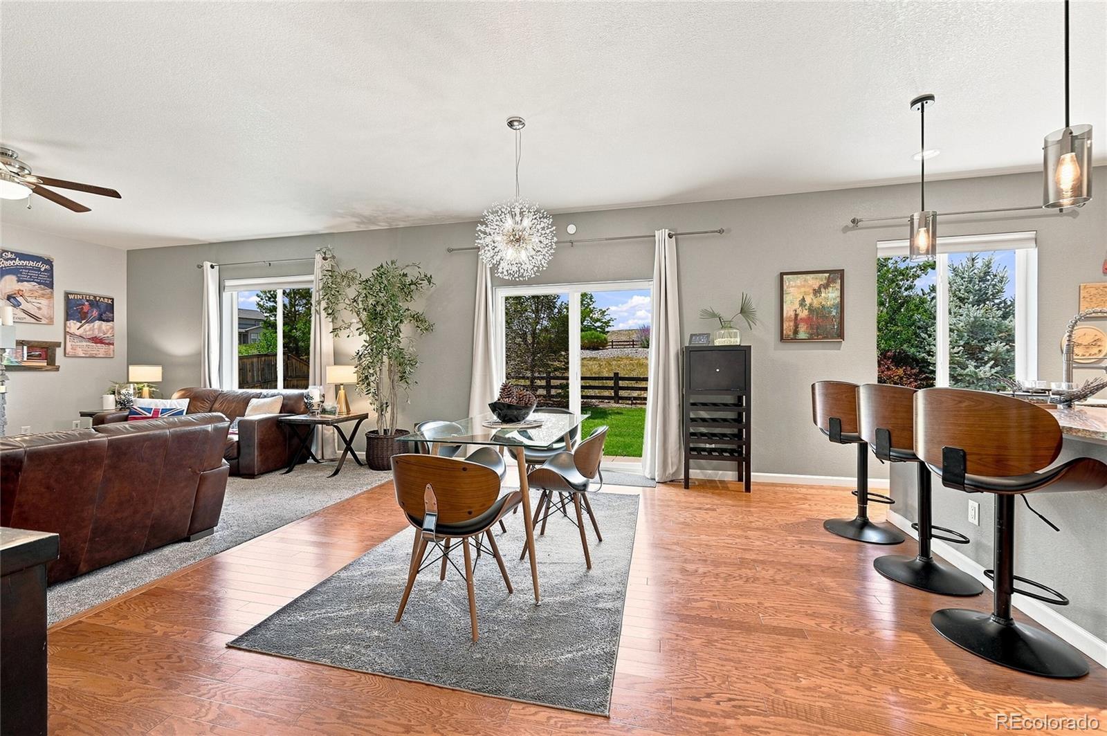 MLS Image #8 for 1220  mcmurdo circle,castle rock, Colorado