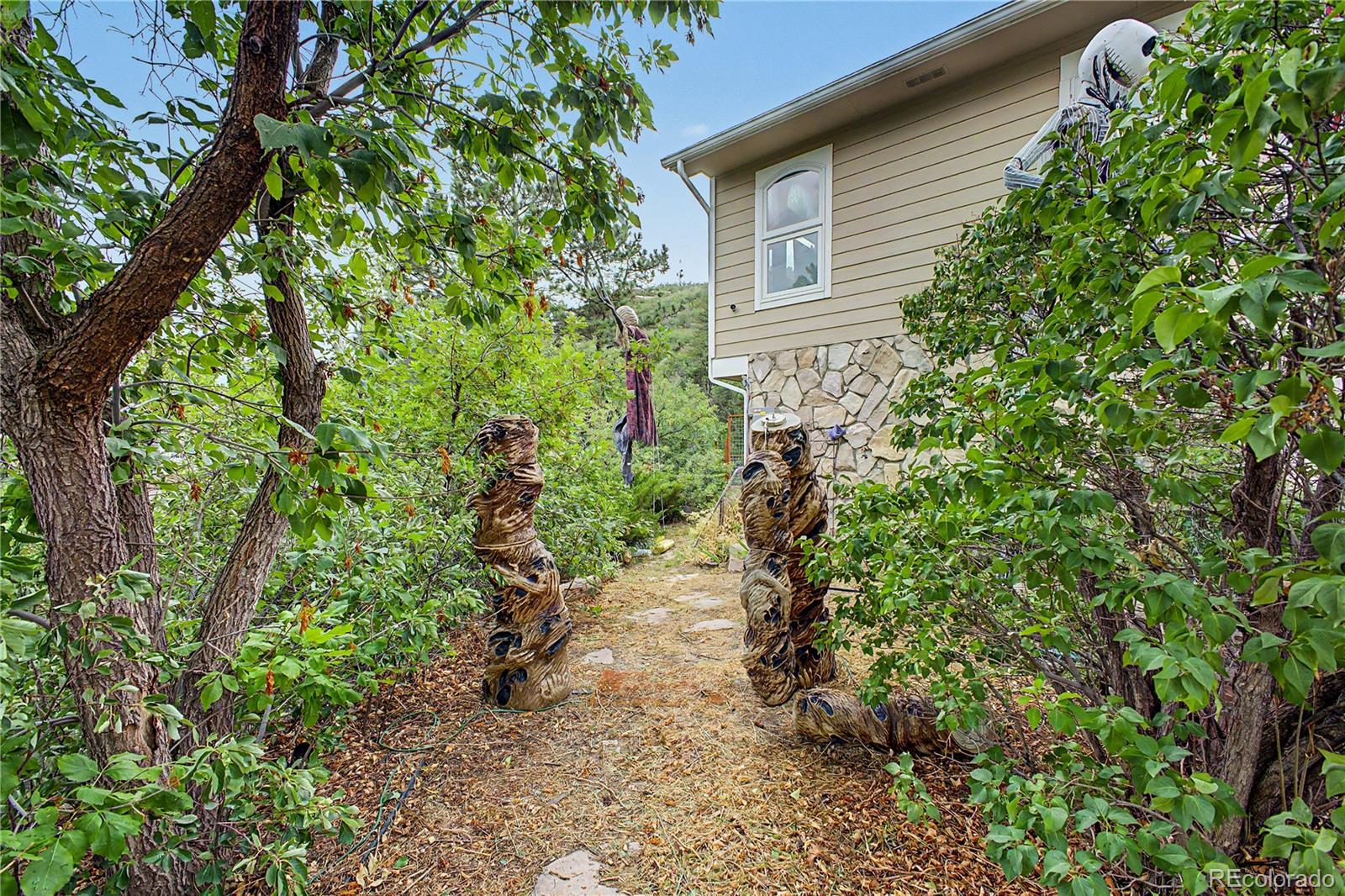MLS Image #28 for 395  dawson court,castle rock, Colorado