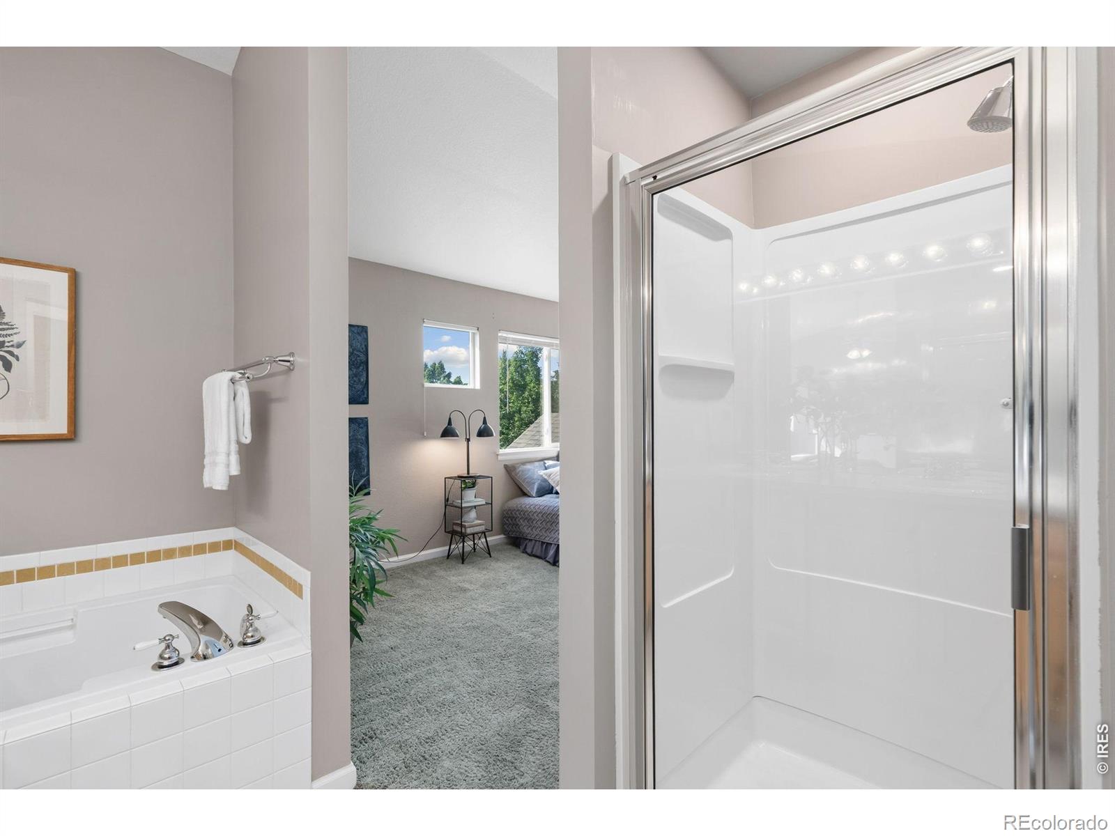 MLS Image #23 for 4061  temple gulch circle,loveland, Colorado