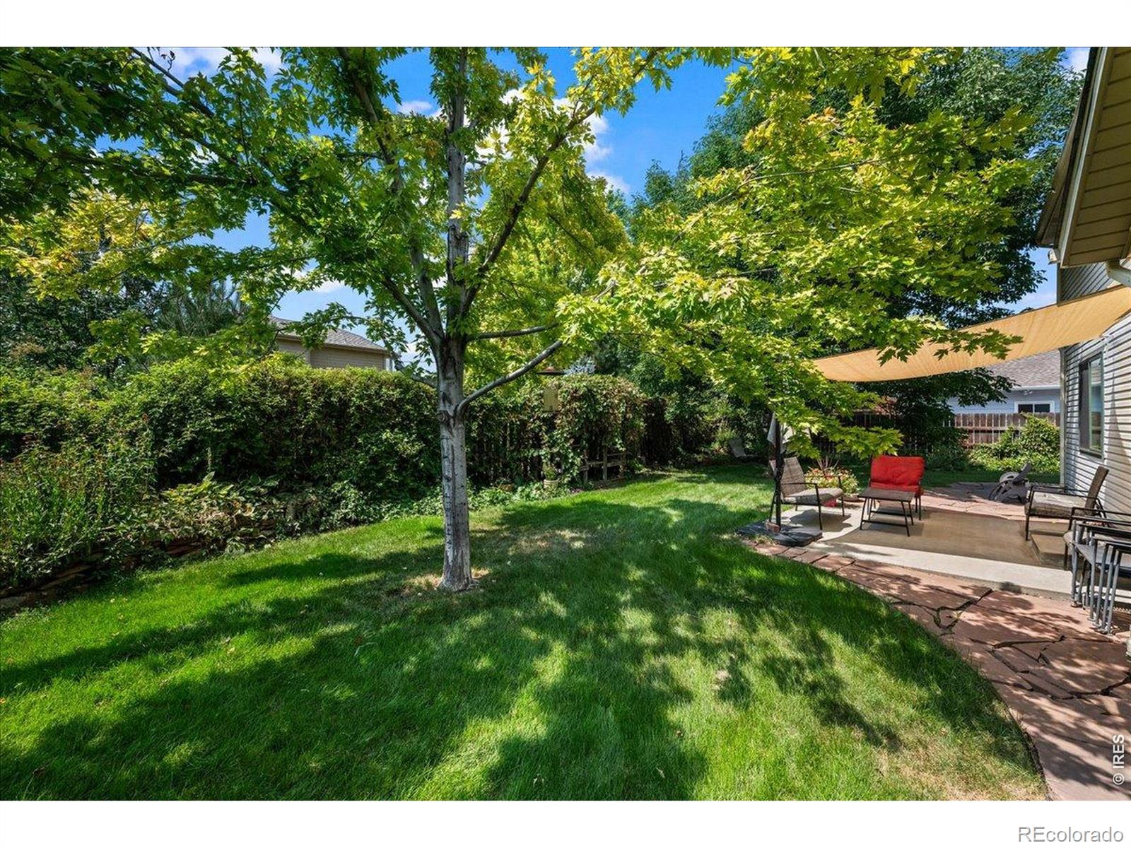 MLS Image #25 for 2431  maplewood circle,longmont, Colorado