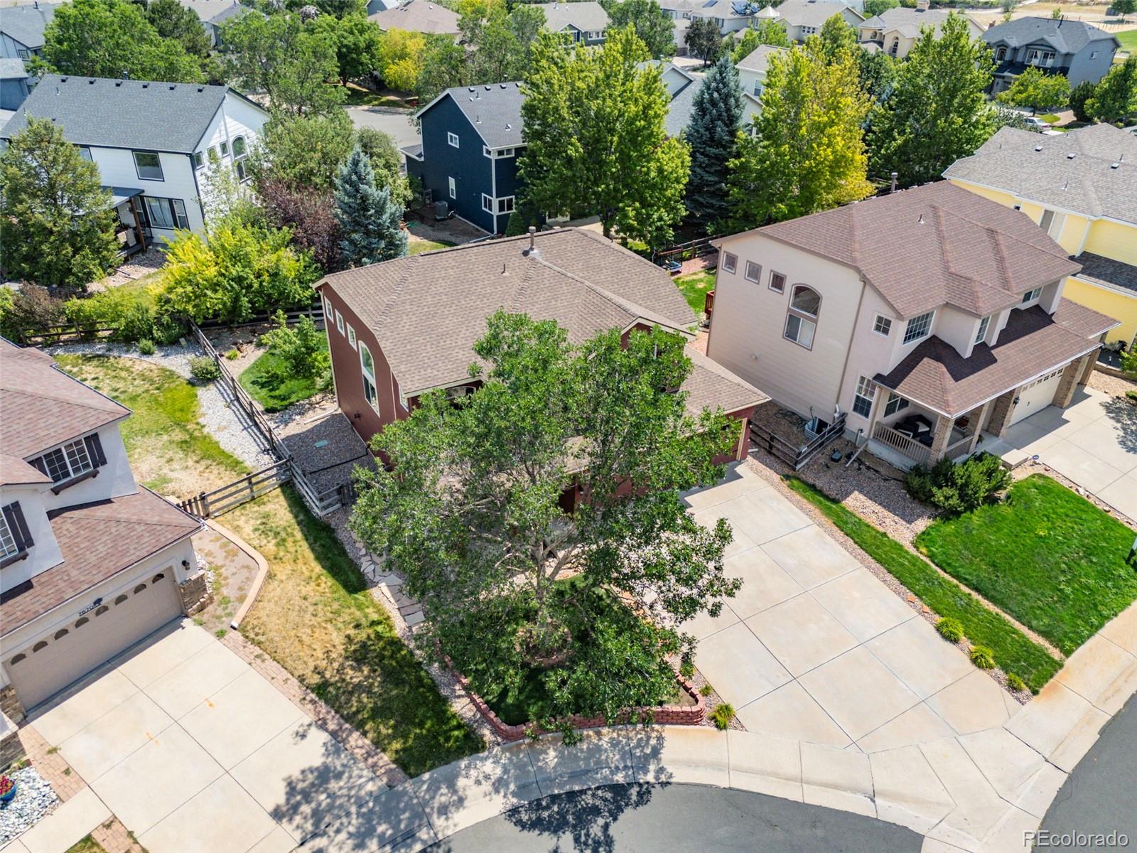MLS Image #3 for 7664  bison court,littleton, Colorado