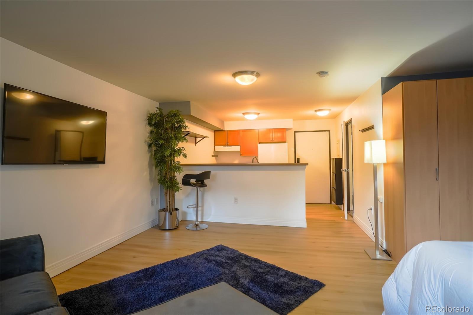 MLS Image #2 for 1196 n grant street,denver, Colorado