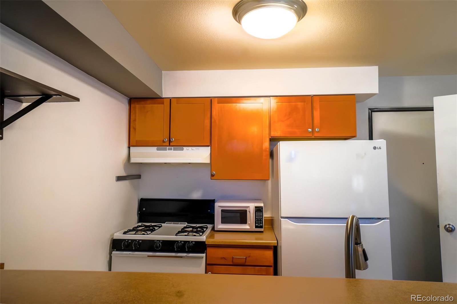 MLS Image #4 for 1196 n grant street,denver, Colorado