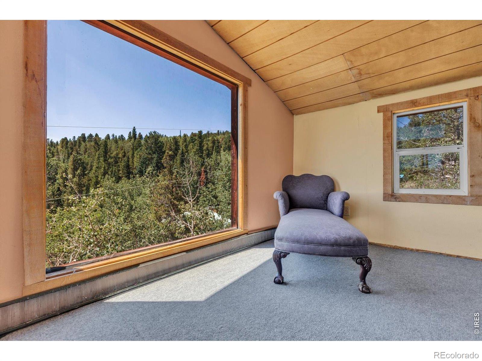 MLS Image #18 for 13  modoc street,ward, Colorado