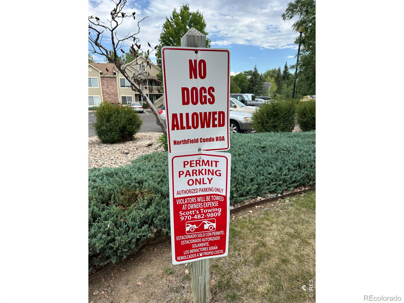 MLS Image #11 for 1225 w prospect road,fort collins, Colorado