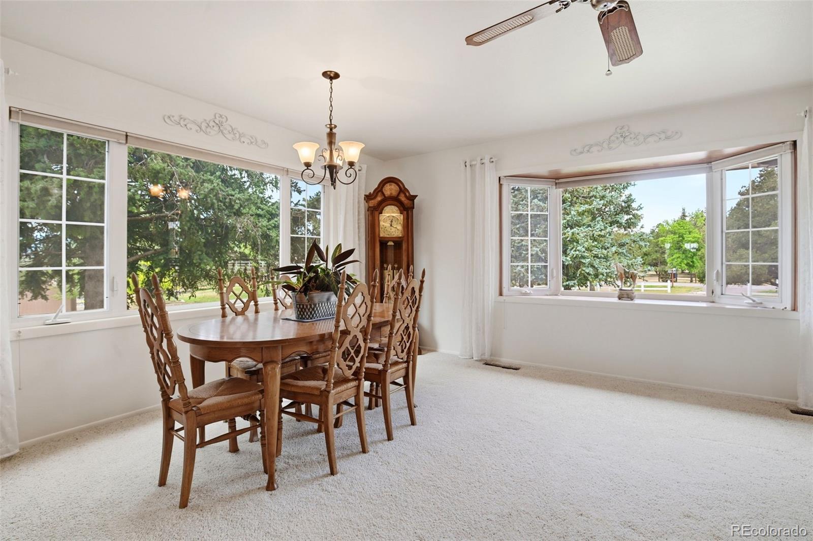 MLS Image #7 for 5323  bent bar road,colorado springs, Colorado