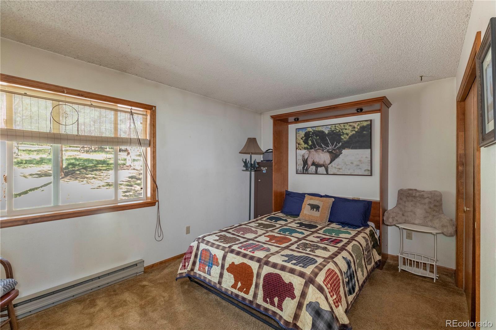 MLS Image #11 for 187  arrowrock circle,florissant, Colorado