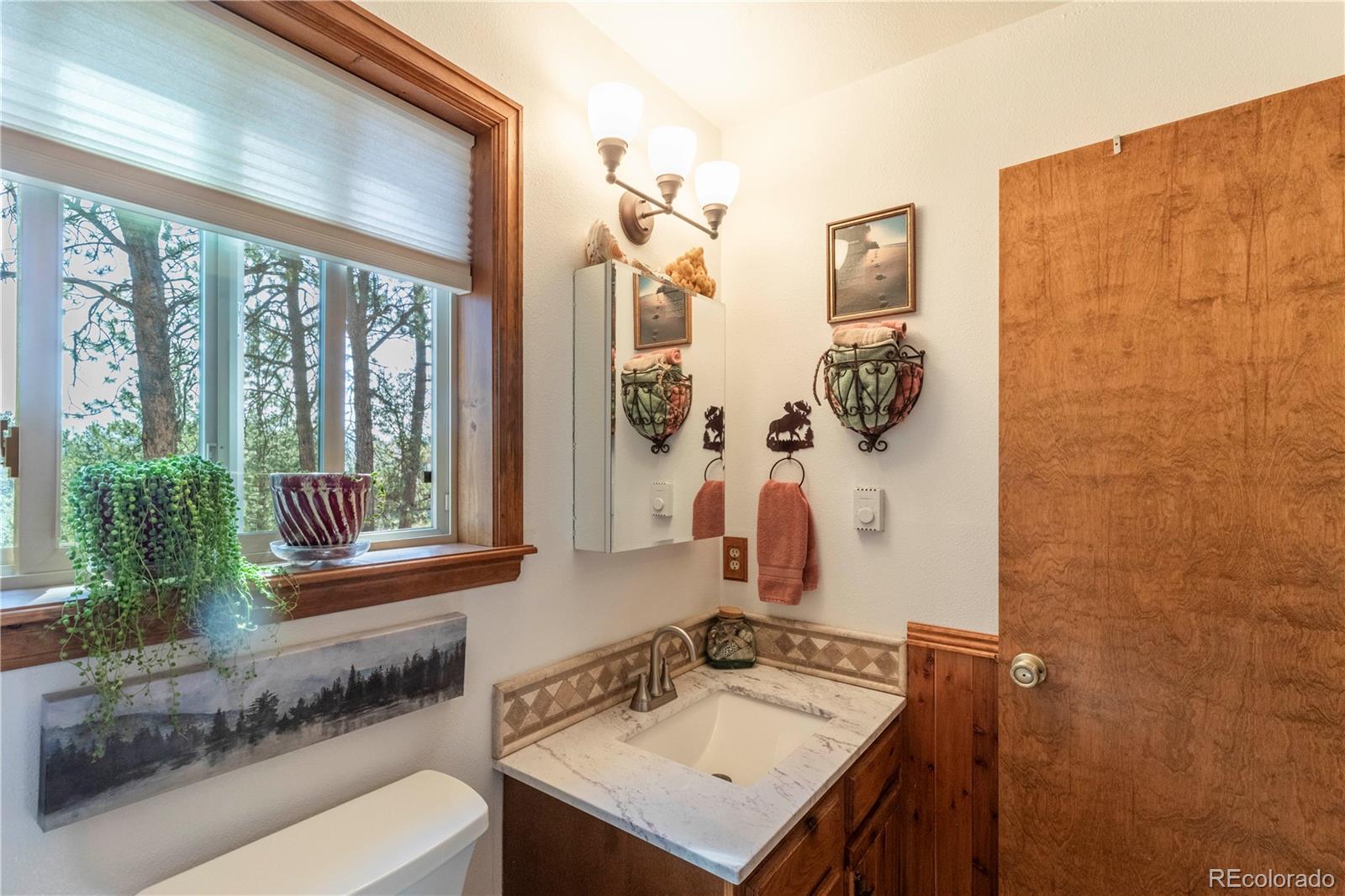 MLS Image #17 for 187  arrowrock circle,florissant, Colorado