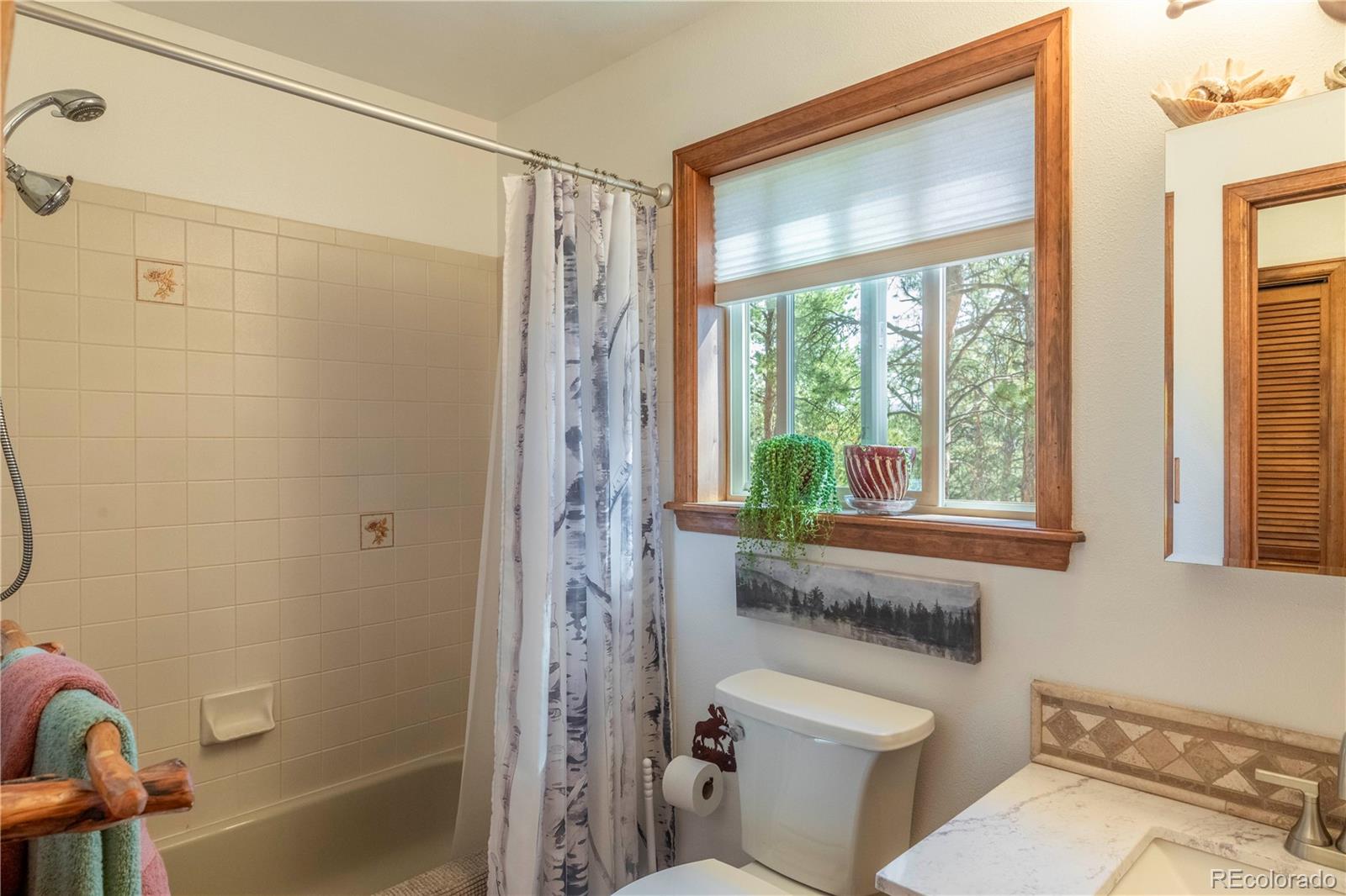 MLS Image #18 for 187  arrowrock circle,florissant, Colorado