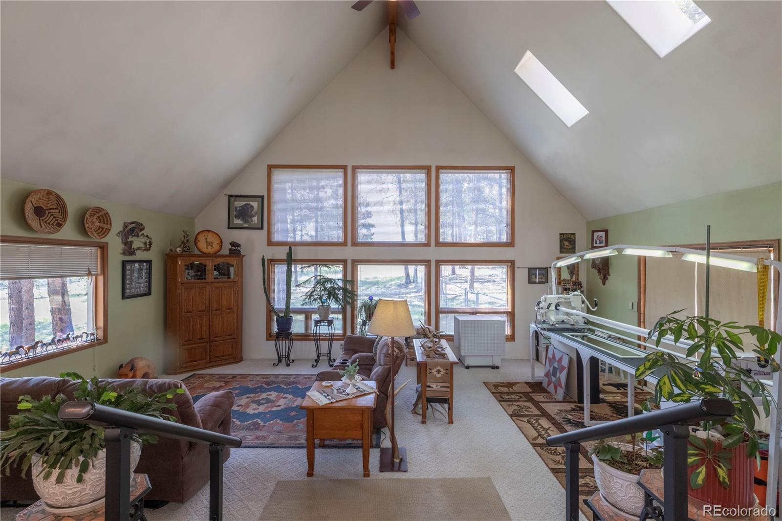 MLS Image #2 for 187  arrowrock circle,florissant, Colorado