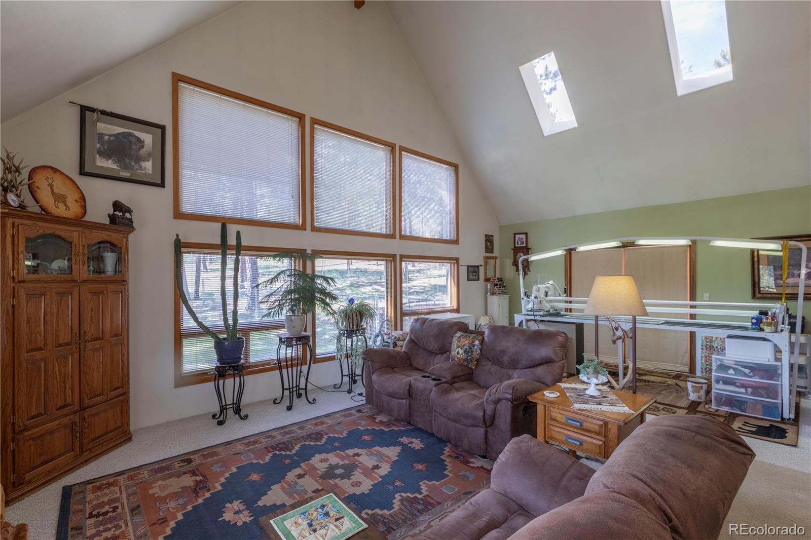 MLS Image #3 for 187  arrowrock circle,florissant, Colorado