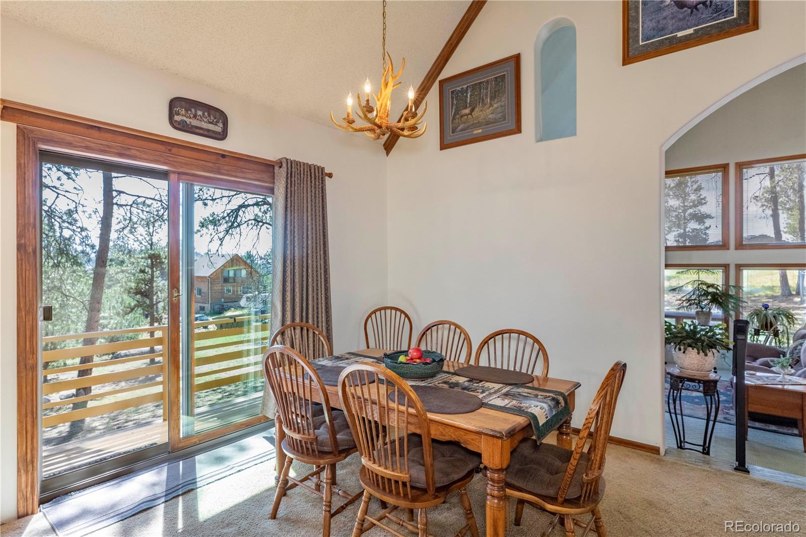 MLS Image #9 for 187  arrowrock circle,florissant, Colorado