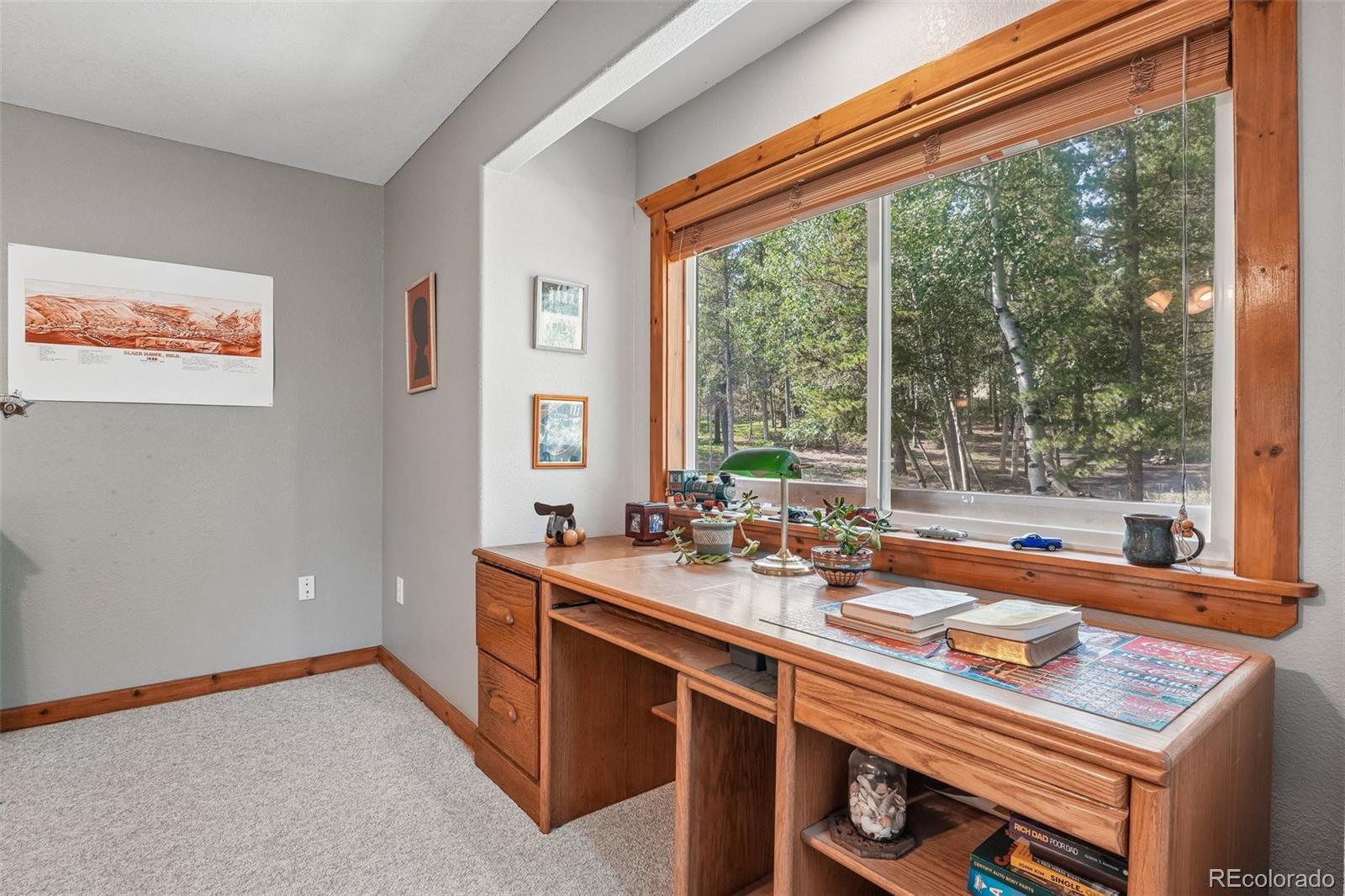 MLS Image #22 for 491  aspen lane,black hawk, Colorado