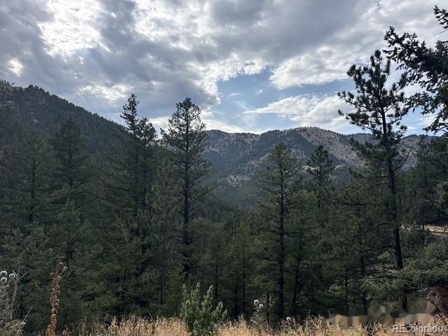 MLS Image #1 for 397  glendale gulch road,jamestown, Colorado
