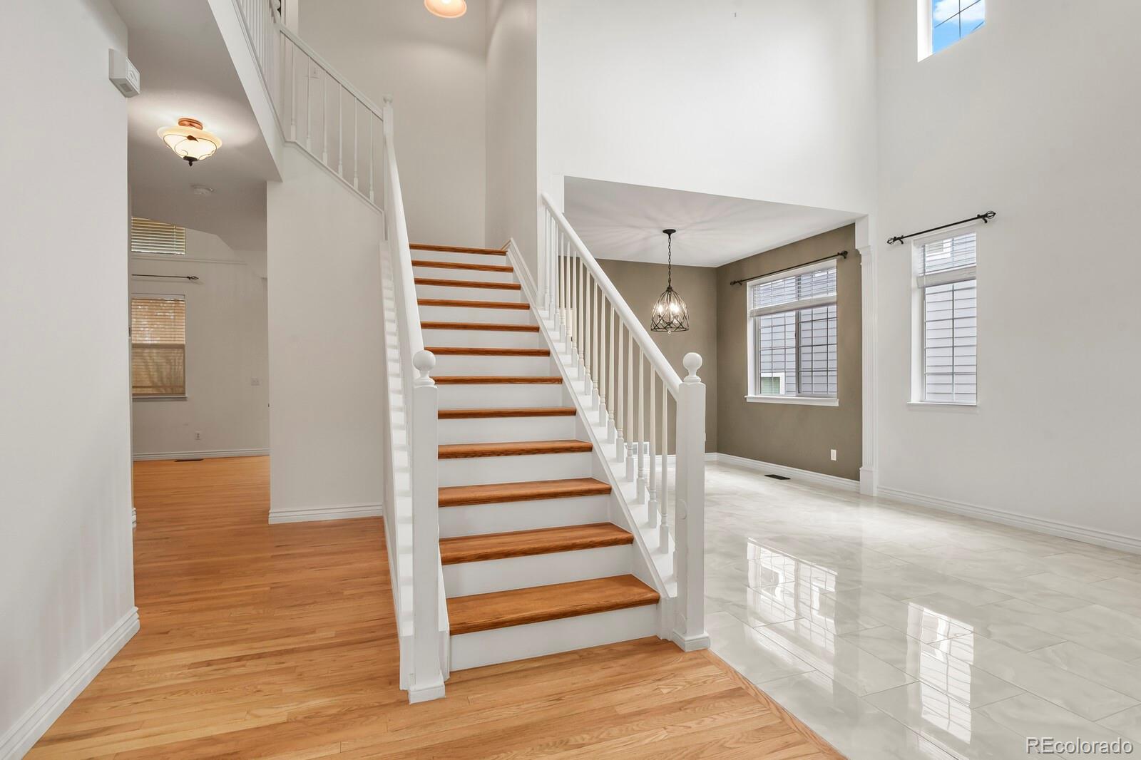 MLS Image #4 for 648  english sparrow trail,littleton, Colorado