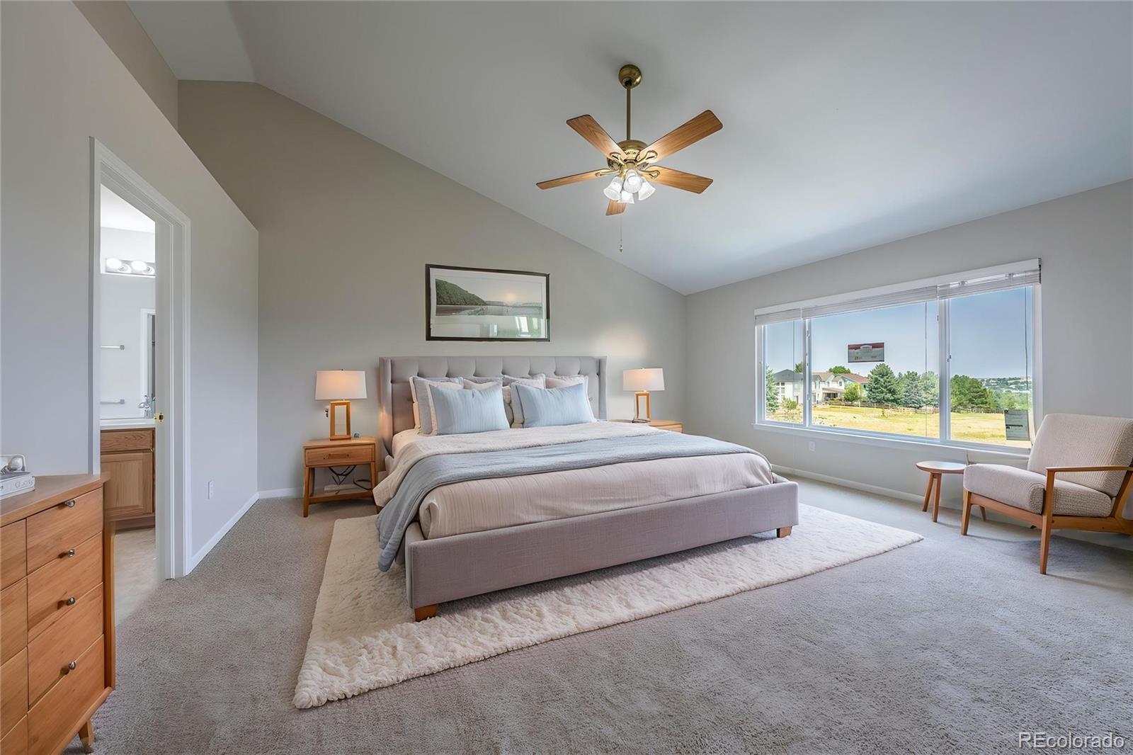 MLS Image #19 for 21096  saddleback circle,parker, Colorado