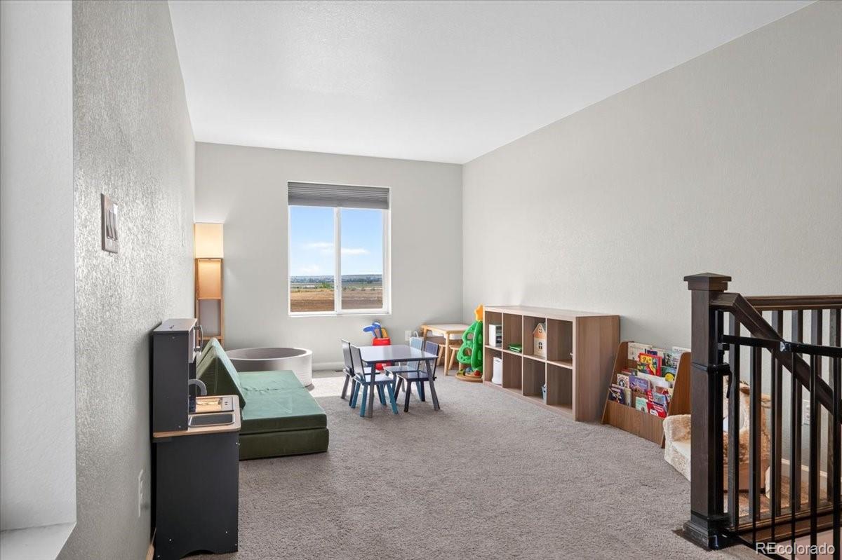 MLS Image #27 for 17444  olive street,broomfield, Colorado