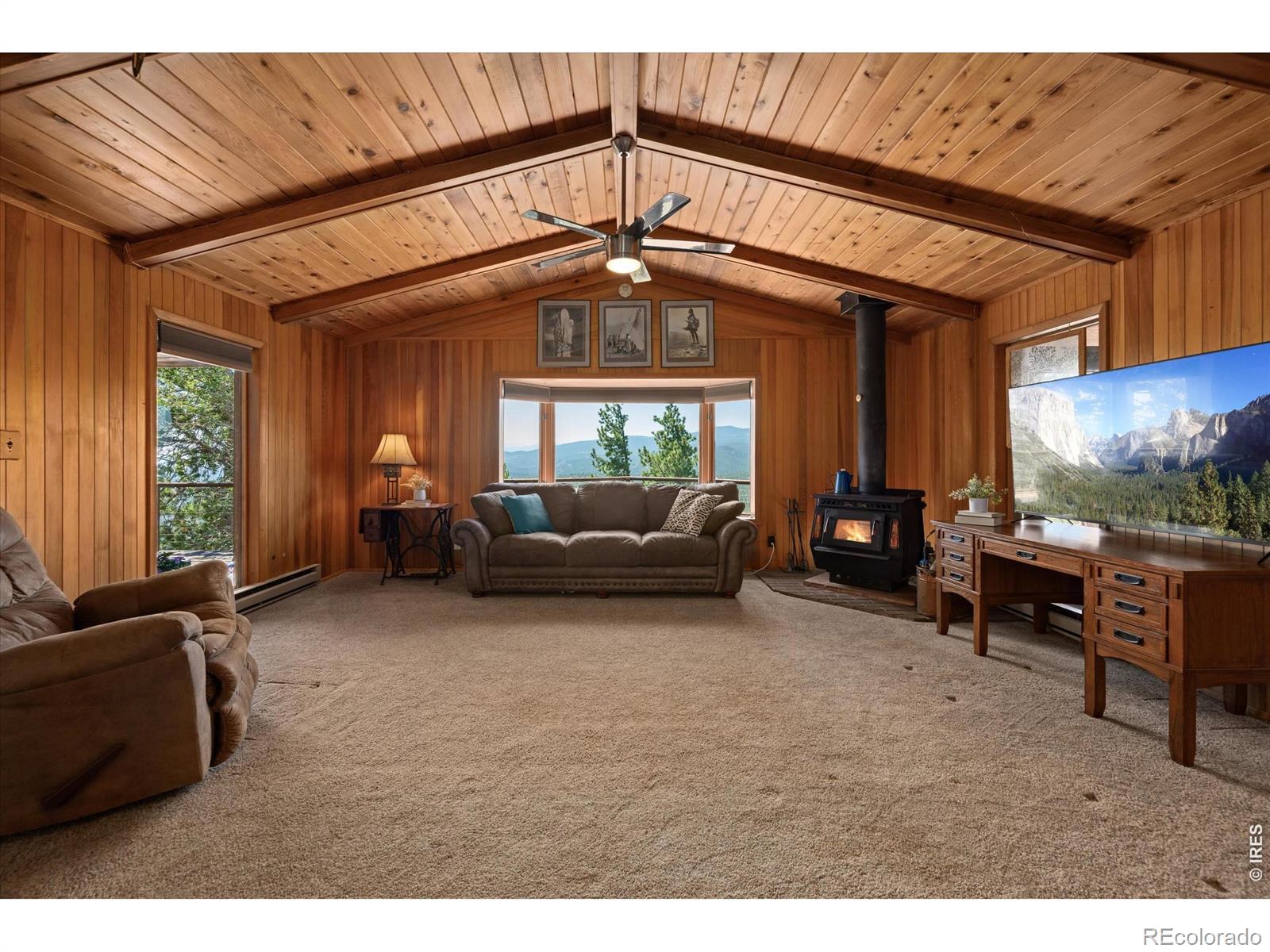 MLS Image #11 for 1502  osage trail,red feather lakes, Colorado