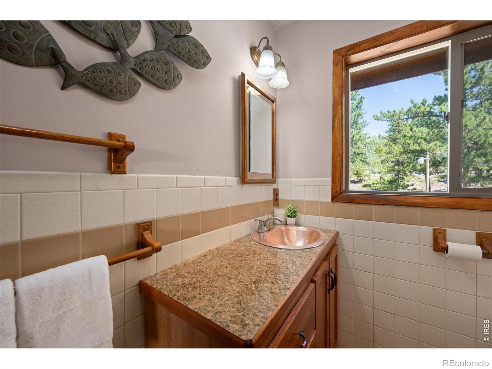 MLS Image #20 for 1502  osage trail,red feather lakes, Colorado