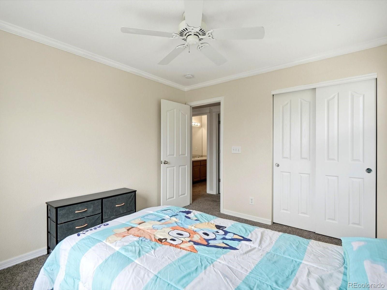 MLS Image #33 for 10933  belle creek boulevard,henderson, Colorado