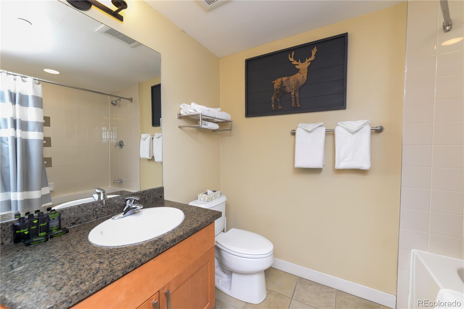 MLS Image #7 for 580  winter park dr ,winter park, Colorado