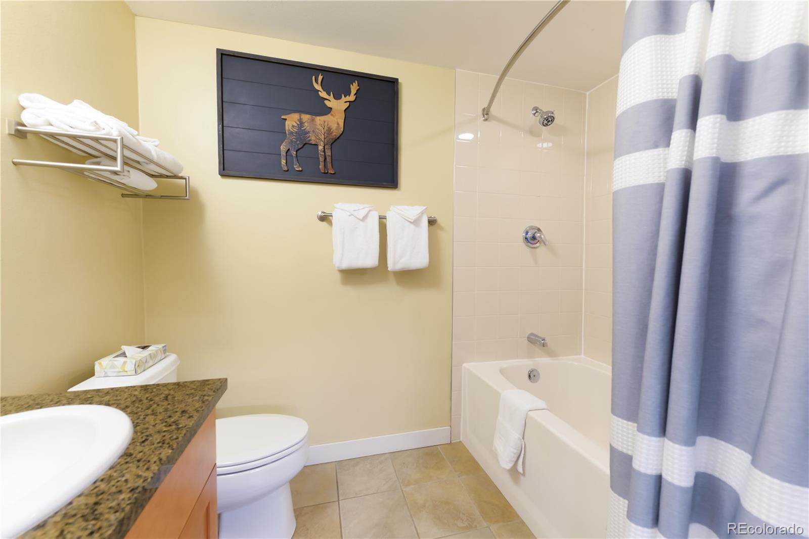 MLS Image #8 for 580  winter park dr ,winter park, Colorado