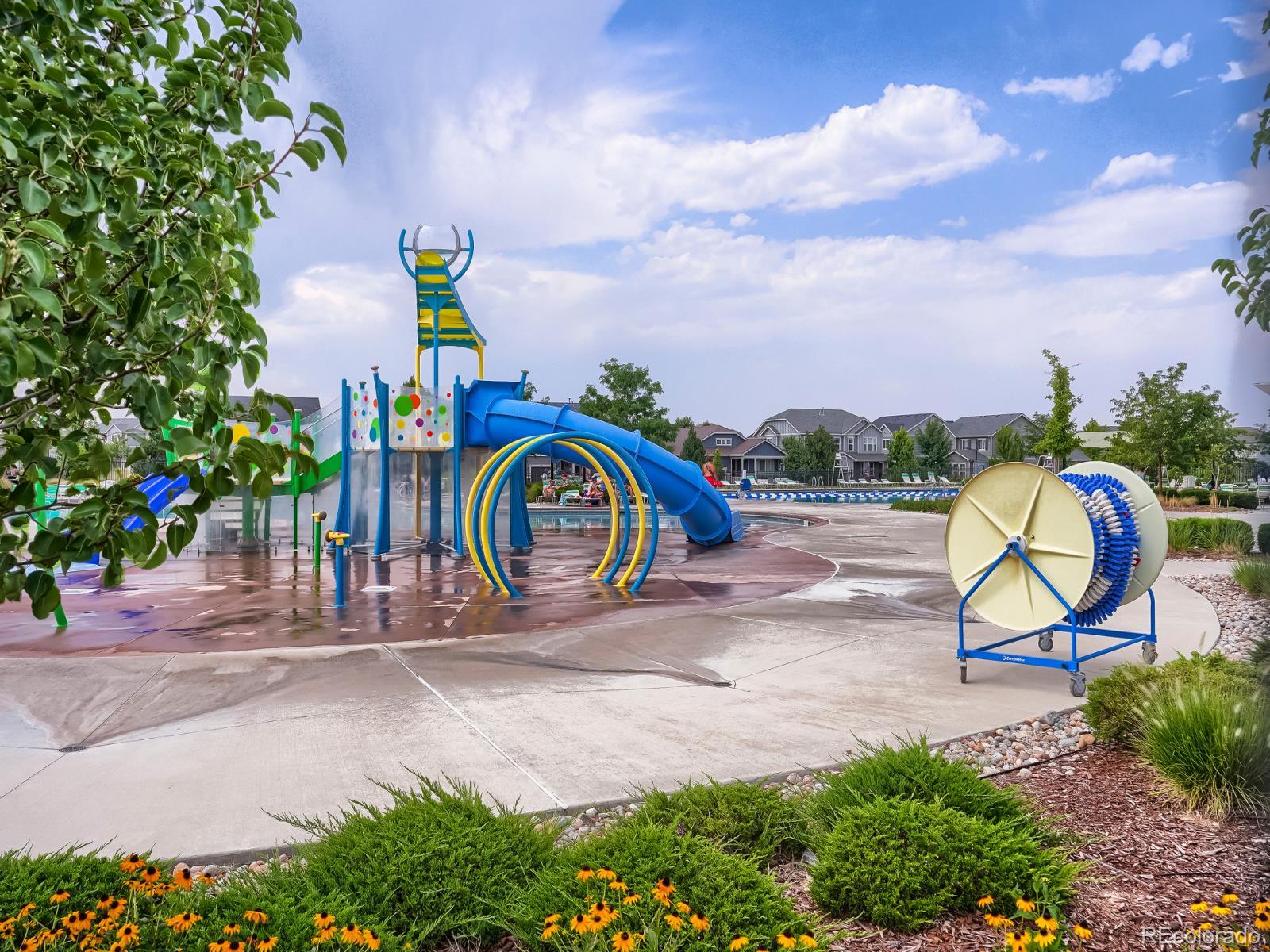 MLS Image #5 for 5226  cherry blossom drive,brighton, Colorado