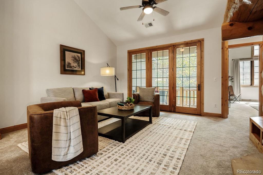 MLS Image #10 for 31276  stone canyon road,evergreen, Colorado