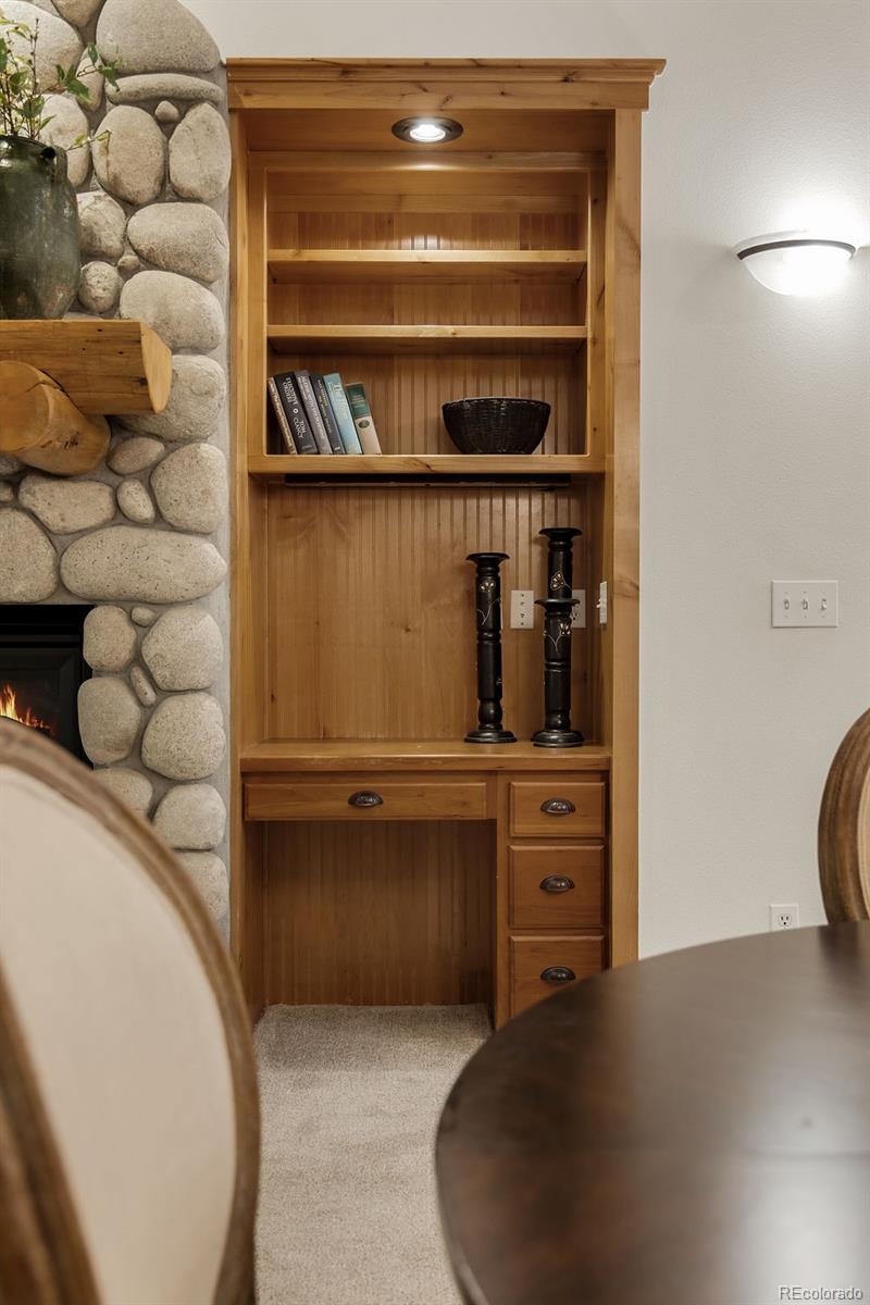 MLS Image #12 for 31276  stone canyon road,evergreen, Colorado