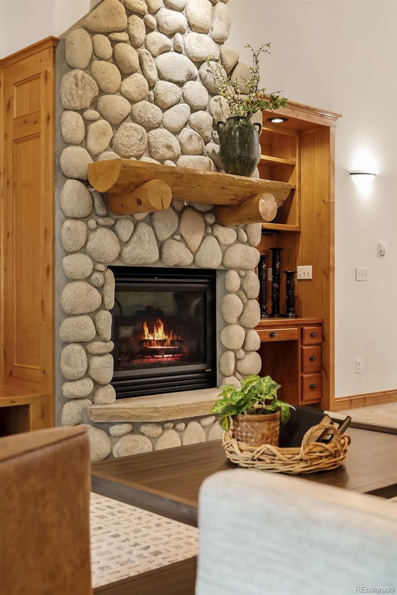 MLS Image #13 for 31276  stone canyon road,evergreen, Colorado