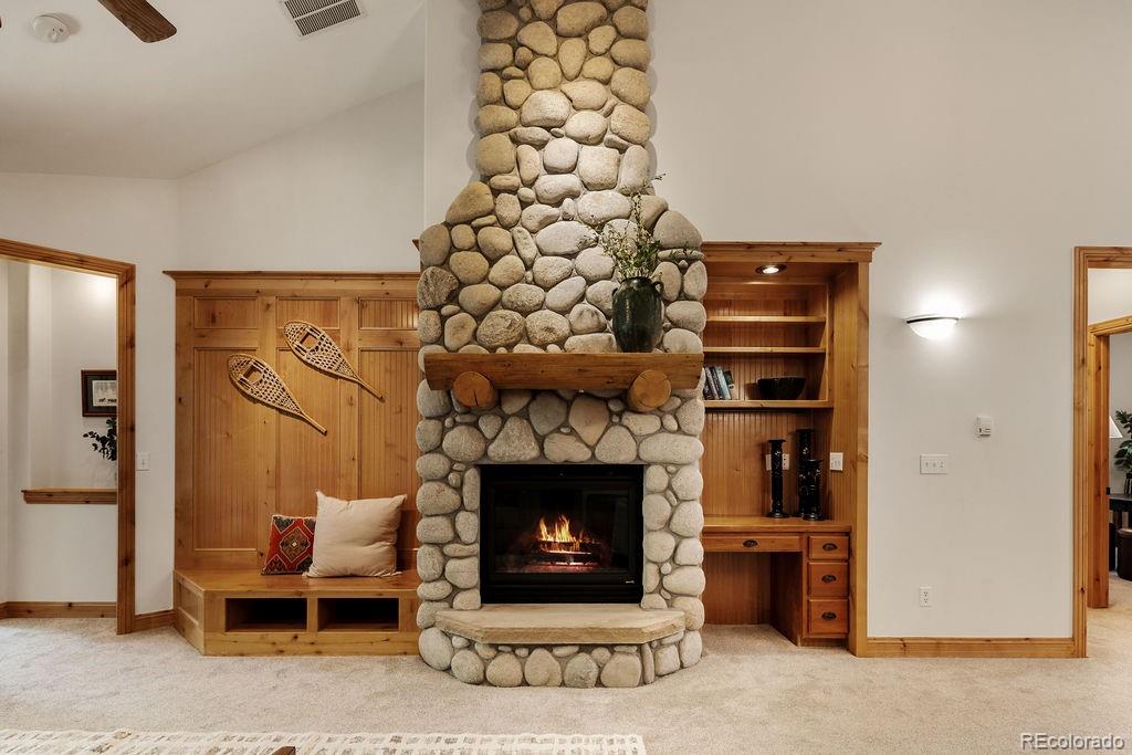 MLS Image #14 for 31276  stone canyon road,evergreen, Colorado