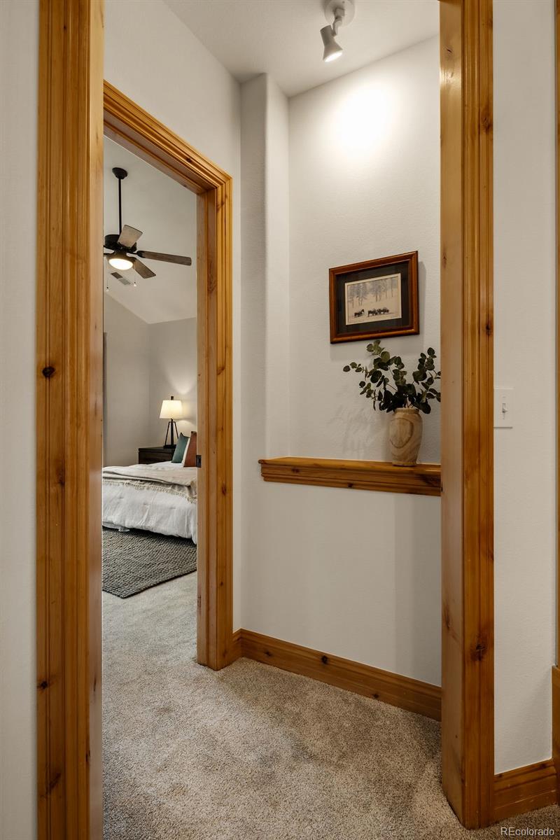 MLS Image #26 for 31276  stone canyon road,evergreen, Colorado