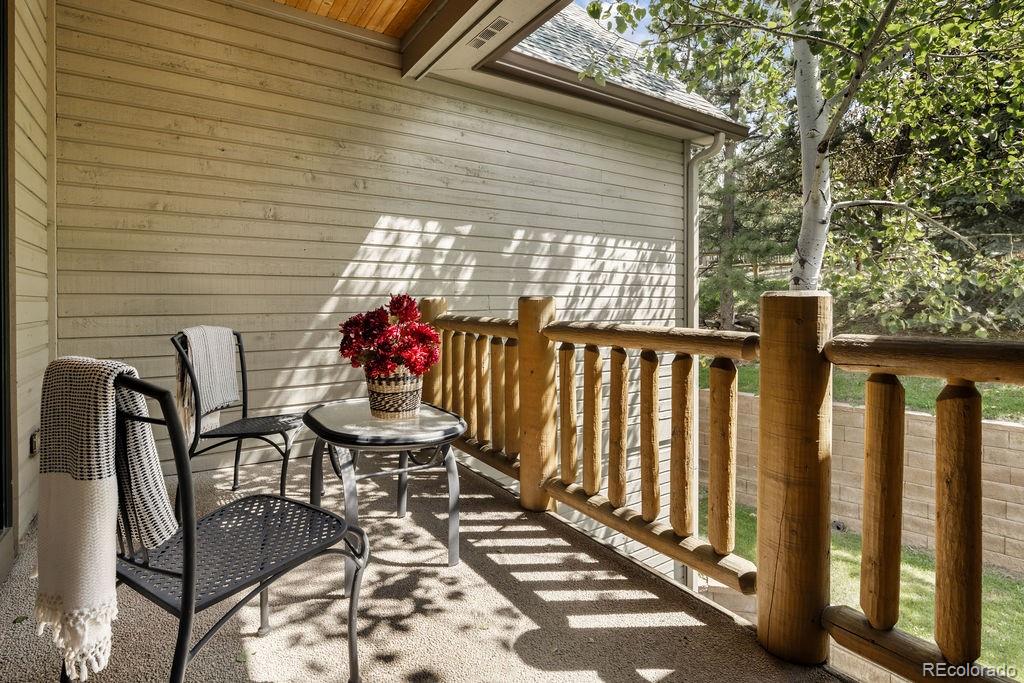 MLS Image #4 for 31276  stone canyon road,evergreen, Colorado