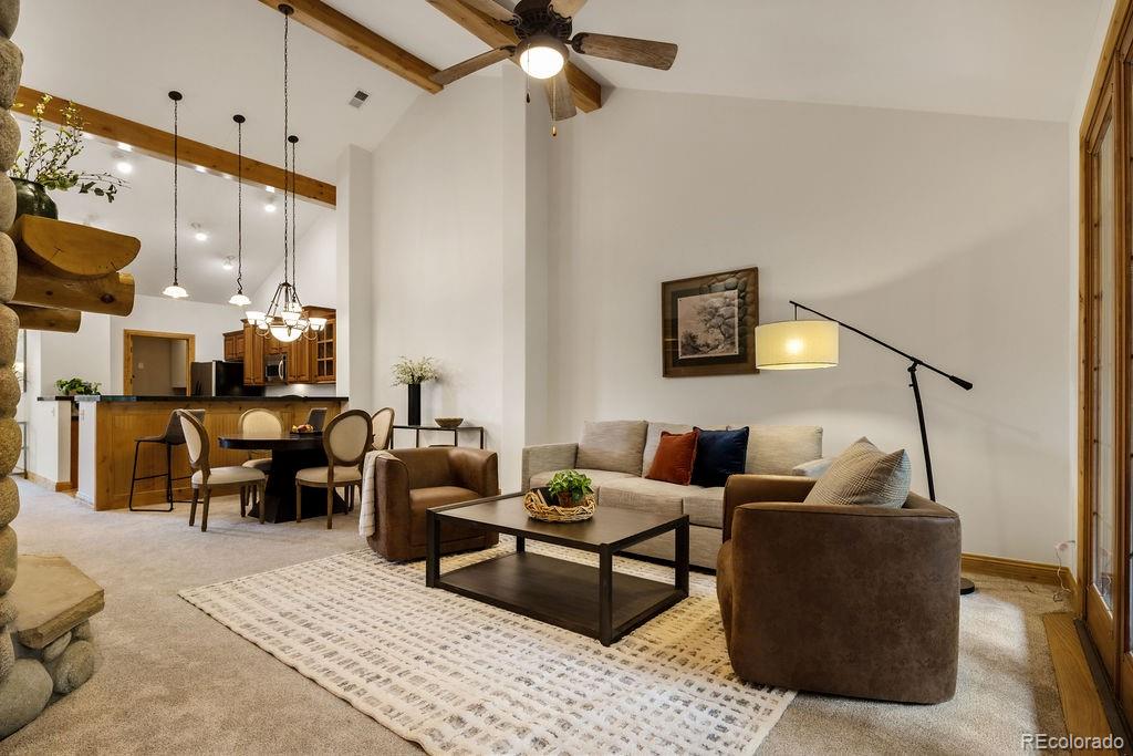 MLS Image #6 for 31276  stone canyon road,evergreen, Colorado