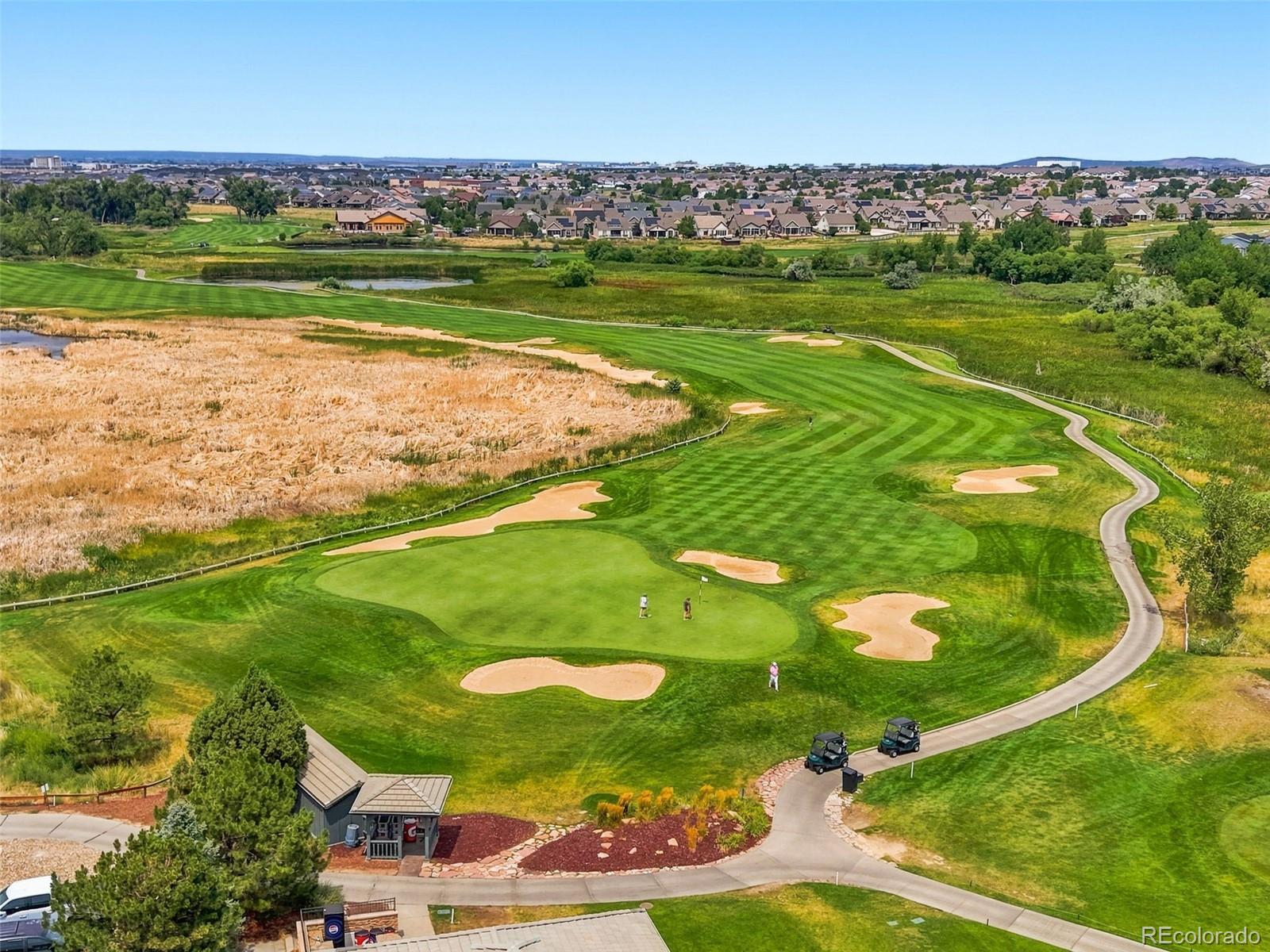 MLS Image #28 for 20054 e 49th place,denver, Colorado