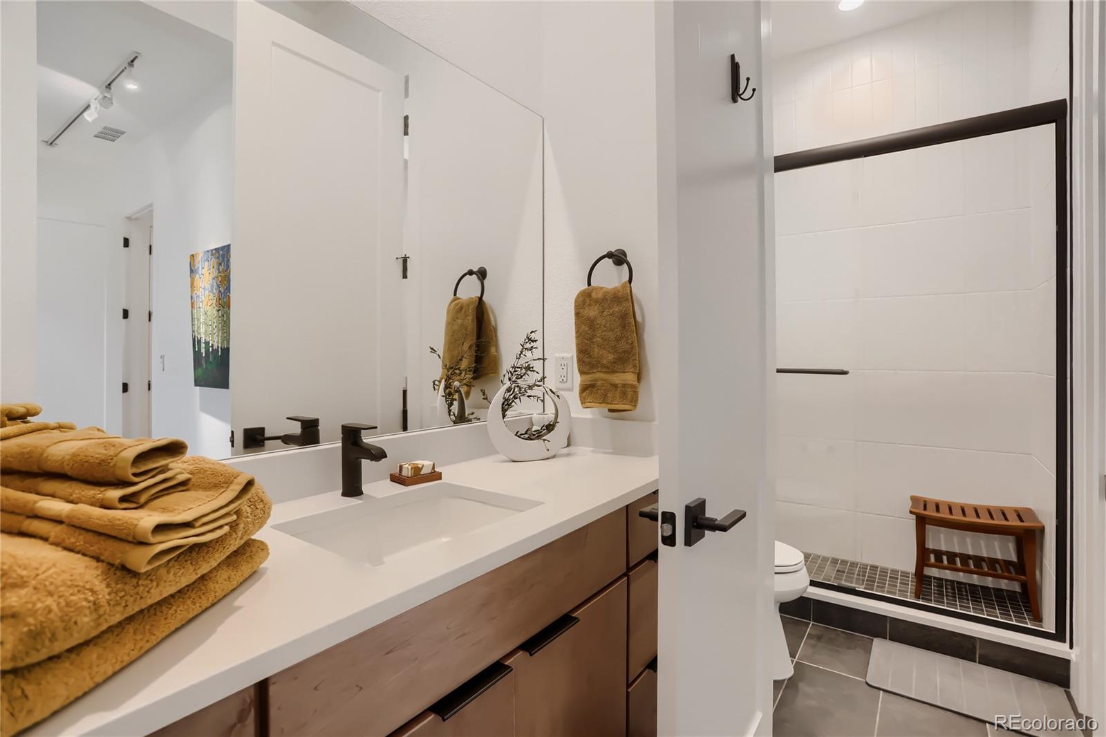 MLS Image #22 for 1058  earmark lane,castle rock, Colorado