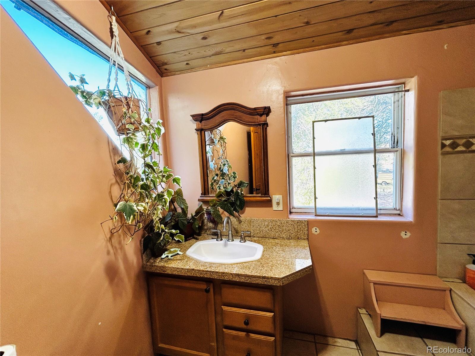 MLS Image #22 for 1038  beaver trail,crestone, Colorado