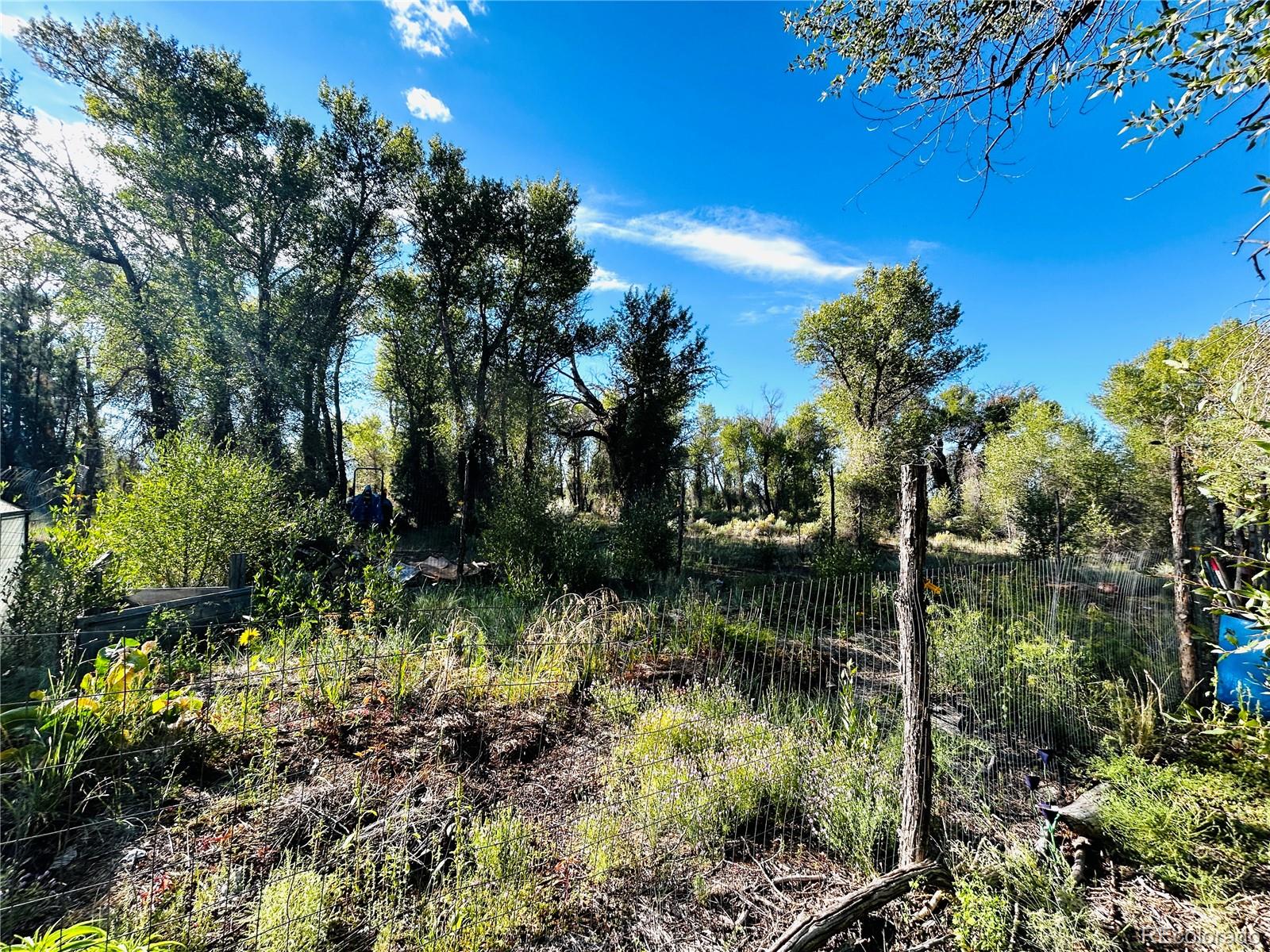 MLS Image #36 for 1038  beaver trail,crestone, Colorado