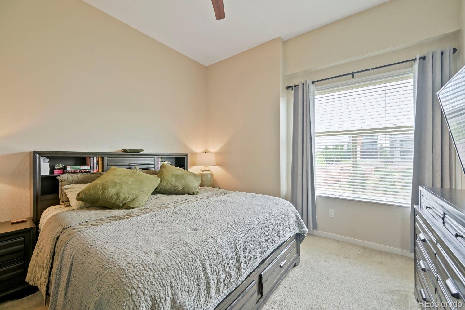 MLS Image #15 for 10064  belvedere circle,lone tree, Colorado