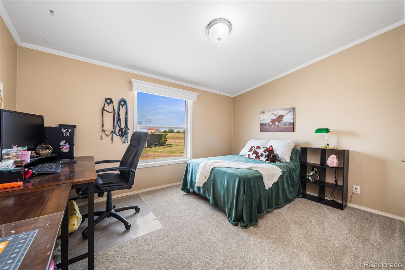 MLS Image #19 for 25101  county road 38 ,la salle, Colorado