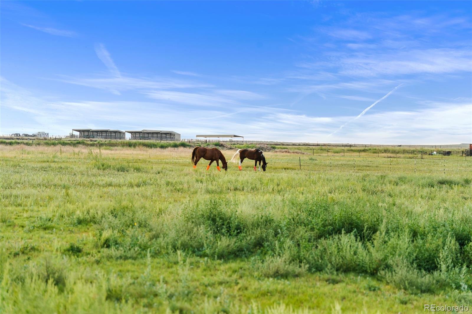 MLS Image #29 for 25101  county road 38 ,la salle, Colorado