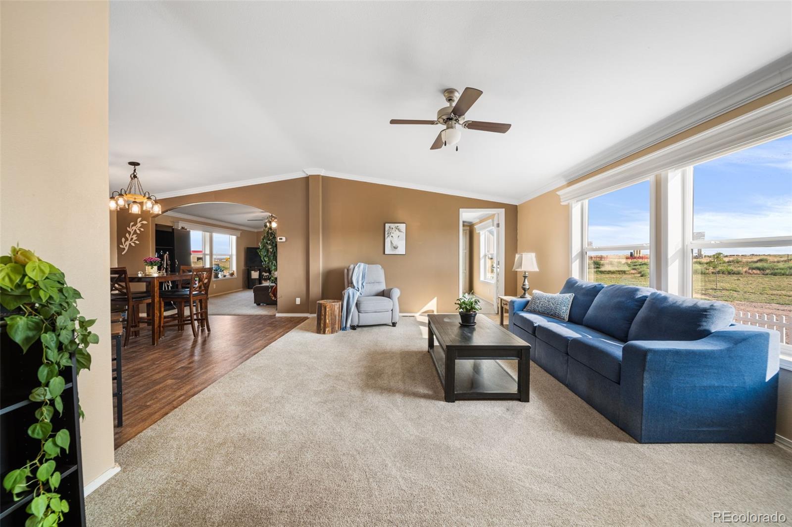 MLS Image #4 for 25101  county road 38 ,la salle, Colorado