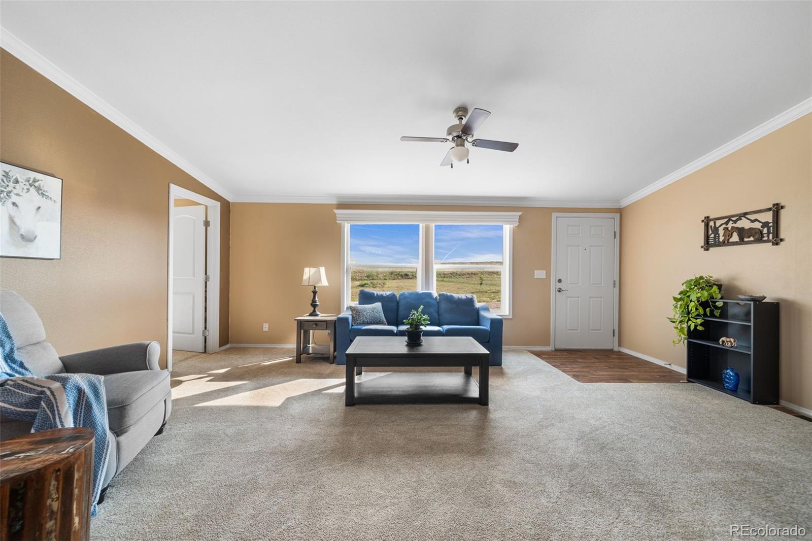 MLS Image #5 for 25101  county road 38 ,la salle, Colorado